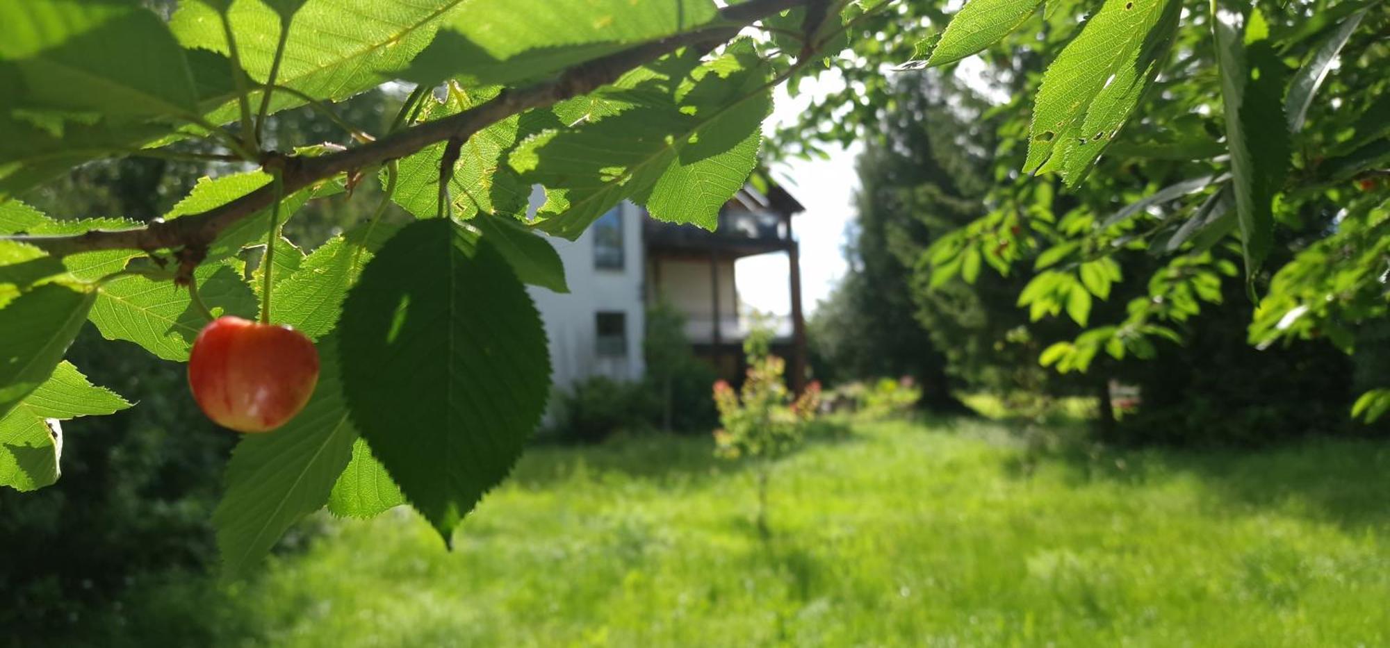 Darkwolf House Lägenhet Merseburg Exteriör bild