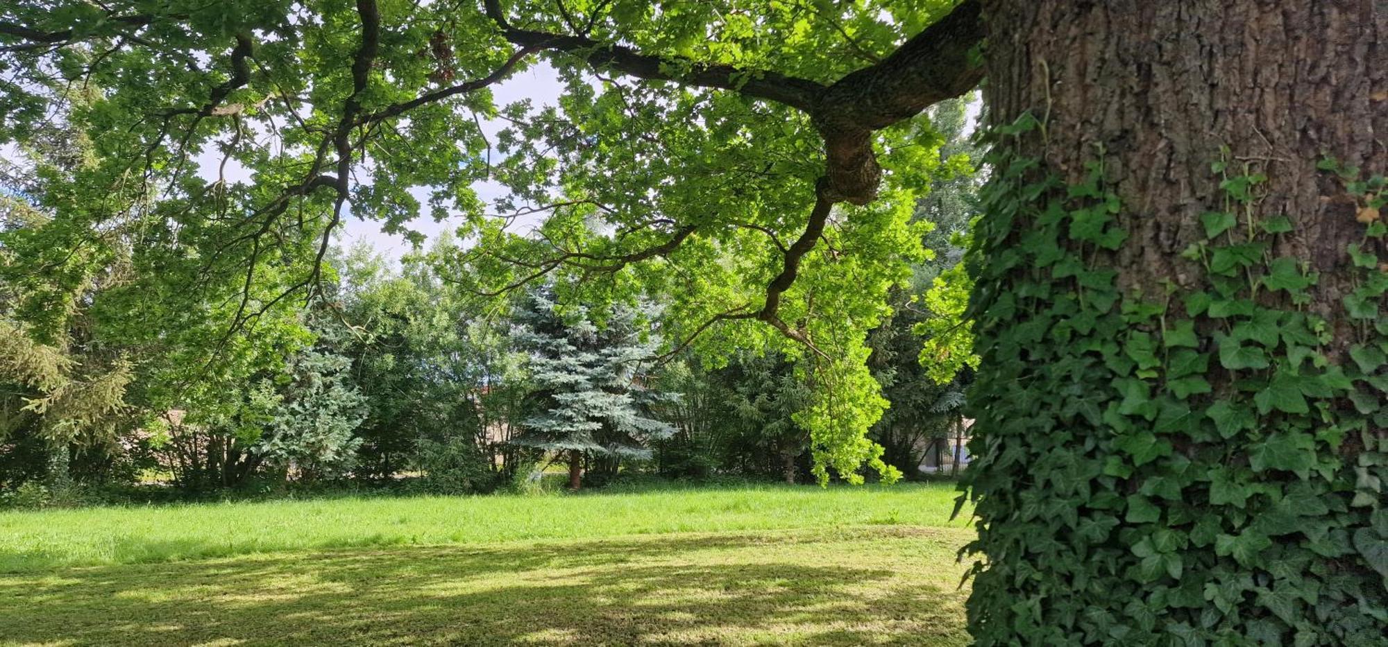 Darkwolf House Lägenhet Merseburg Exteriör bild
