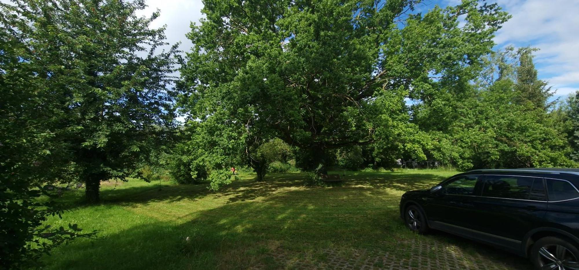 Darkwolf House Lägenhet Merseburg Exteriör bild